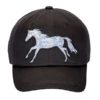 AWST International Shiny Horse Cap