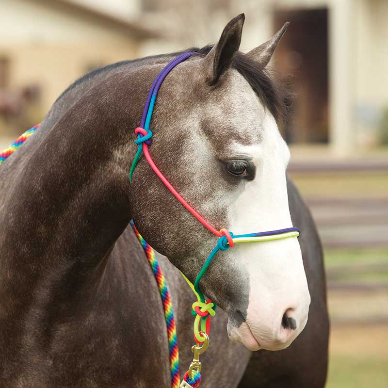 Rainbow Knotted Rope Halter with Lead Rope Horse Size New Tack 