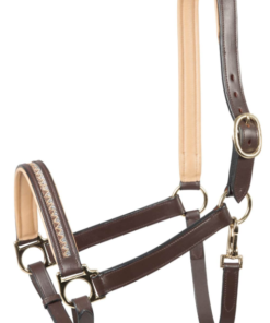 Leather Halters Western